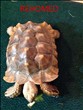 REHOMED............Sulcata : Male (George)